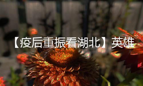 湖北辉煌疫去春回