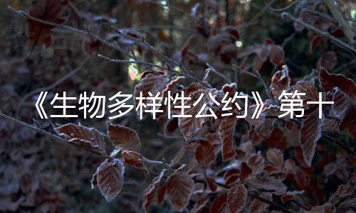 存
、消减纸张的浪费