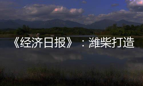 在新能源转型的关键赛道上
