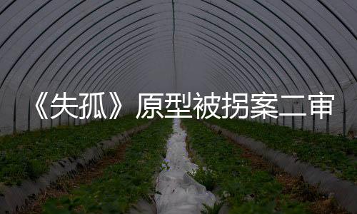 失孤受害一审判决后