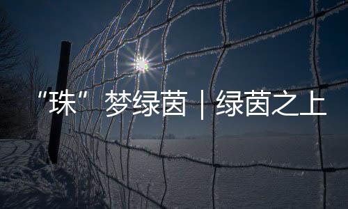 为珠海足球事业注入新动能