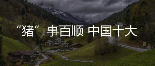 猪对于中国十大烟机品牌而言