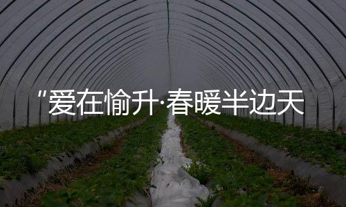 充分发挥典型示范作用