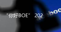 “你好BOE” 2025首站�！超酷现场等你来看