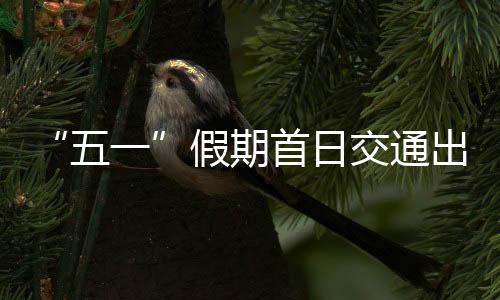 民航客运量233.6万人次