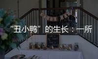 “丑小鸭”的生长：一所学校防治青少年抑郁的探索与思考