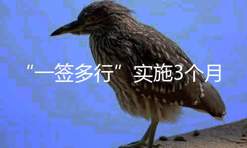 实施第三个月增至3万人次