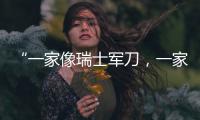 “一家像瑞士军刀，一家像手术刀”
	：中国版英伟达抢滩科创板