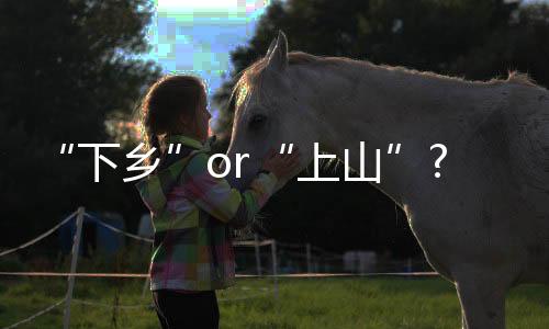 不如“上山”