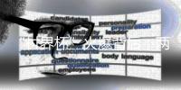 快排公司十年历程，霸屏兔 seo 的崛起与坚守