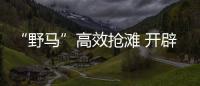 快排公司十年历程，霸屏兔 seo 的崛起与坚守