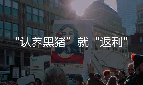 返利老会员发展新会员后