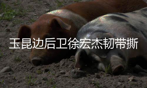 目前代表云南玉昆出战15场