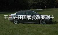 王昌林任国家发改委副主任，刘斌任国家外汇管理局副局长