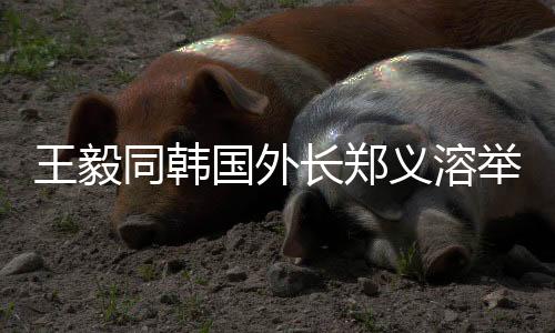 国外郑义溶表示