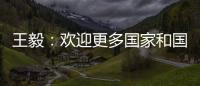 王毅
：欢迎更多国家和国际组织加入“支持非洲发展伙伴倡议”