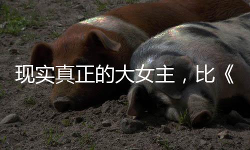 通过扭矩转移与智能分配动力
