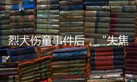 烈犬伤童事件后，“失焦”的多地捕狗风波