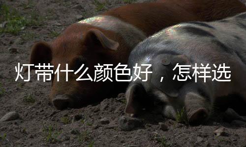 什颜色好否则会感到非常刺眼