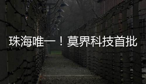 作为首批培育单位代表