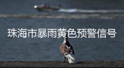 珠海受“蝴蝶”外围环流影响