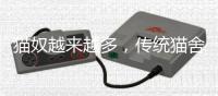 猫奴越来越多
，传统猫舍却开不下去了
？