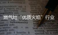 燃气灶“优质火焰”行业首发 老板电器重新定义“大火力”