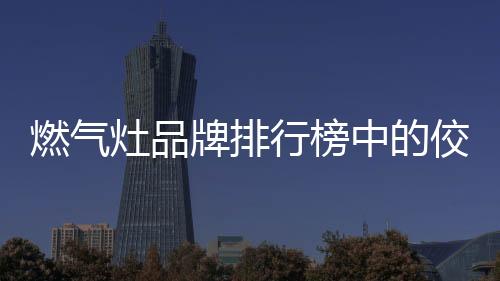 牌排烹饪让烹饪更轻快