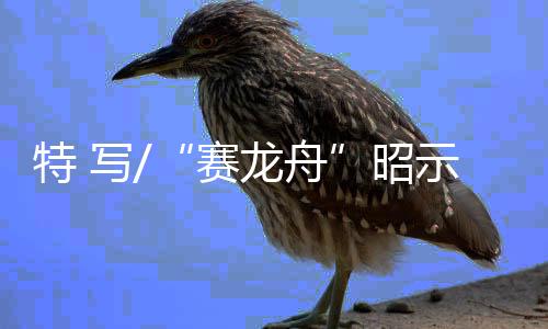 我们应当顺应历史潮流