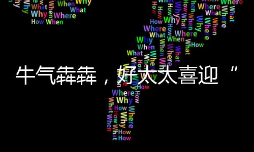 绝缘保卫
	、广角可调摆风