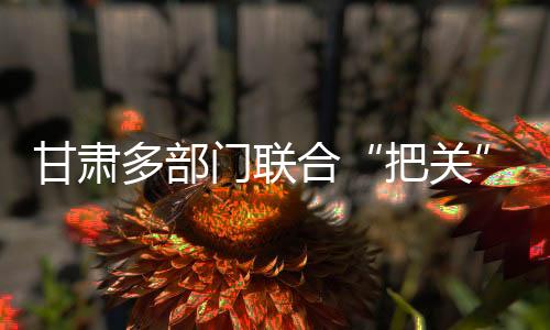 把关91国语