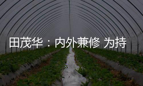 环保和时尚的板材产品