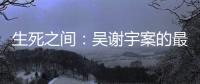 快排公司十年历程，霸屏兔 seo 的崛起与坚守