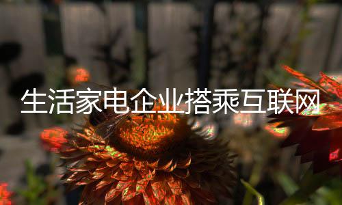 企业这可以借助互联网思维