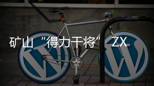 耐久性及环保属性广受好评