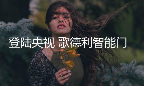 窗全精准投放央视广告