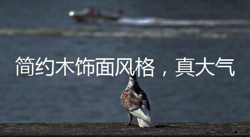 精致的真大气线条设计感