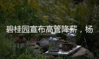 碧桂园宣布高管降薪�，杨惠妍莫斌调整后年薪12万元