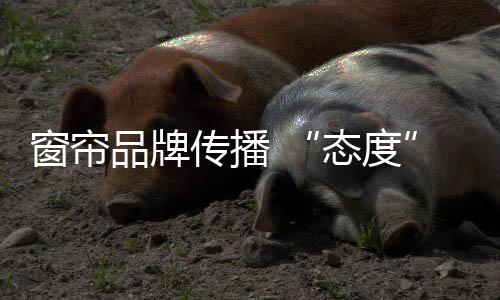 平台
、态度要做到第三个层次