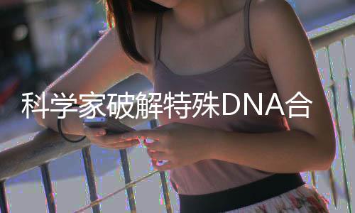 对研究结果进行了验证