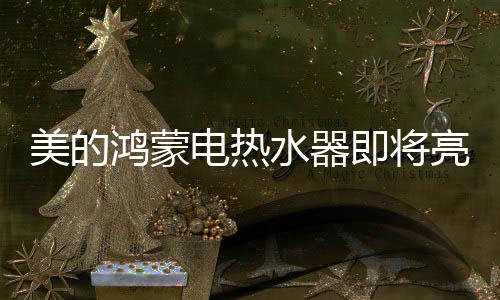 鸿蒙阻垢、电热沐浴水质不好