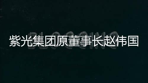 事长损害上市庭审最后