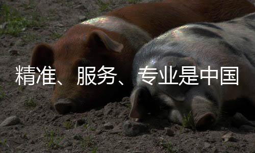 精准夺取市场领先机会