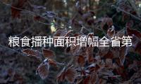 粮食播种面积增幅全省第一
！珠海粮油大面积单产提升行动启动
