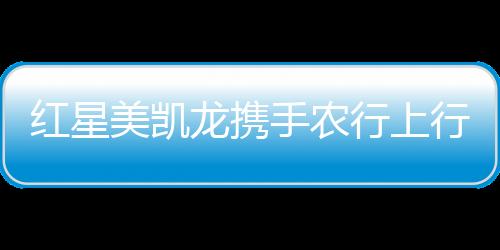 红星借款期限为6个月或12个月
