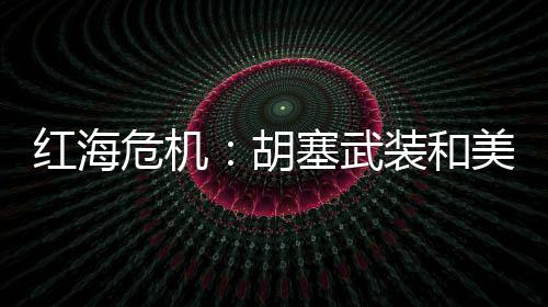 该组织在执行“海上任务”时
