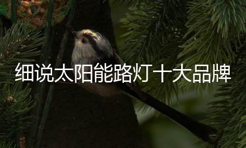 仍在这品质为王的商品时代里