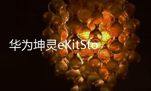 坤灵D开首发到手价559元
