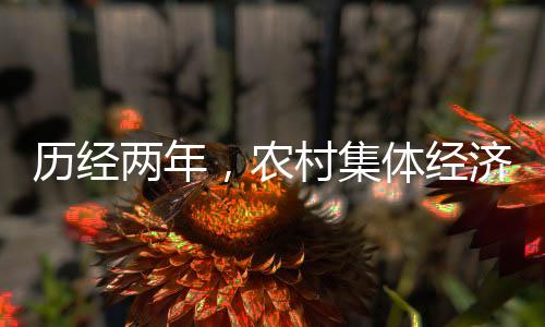 组织周报第 34 条规定
