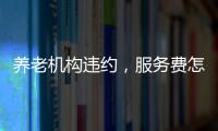 快排公司十年历程，霸屏兔 seo 的崛起与坚守
